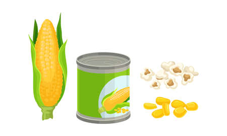 Maize or Corn as Cereal Grain with Yellow Kernels or Seeds Vector Setのイラスト素材