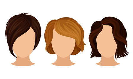 Different Hairstyle and Haircuts for Females Vector Setのイラスト素材