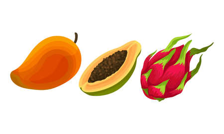 Ripe and Fresh Exotic Fruits with Mango and Dragon Fruit Vector Setのイラスト素材