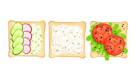 Toasts With Different Ingredients Top View Vector Setのイラスト素材