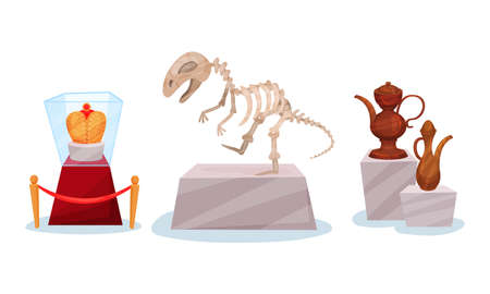 Museum Exhibit with Dinosaur Fossil and Ceramic Vessels Vector Setのイラスト素材