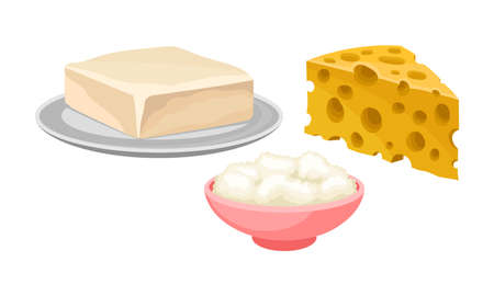 Cheese Slab and Butter on Plate as Dairy Product Vector Setのイラスト素材