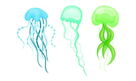 Jellyfish or Sea Jelly as Marine Animal with Umbrella-shaped Bell and Tentacles Vector Setのイラスト素材