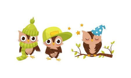 Cute Owls Wearing Cap and Sleeping on Tree Branch Vector Setのイラスト素材