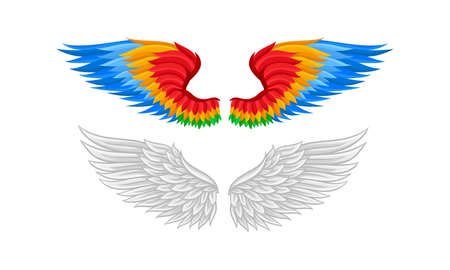 Feathered Wings of Different Flying Creature Vector Setのイラスト素材
