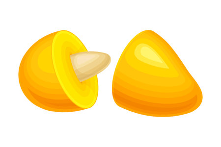 Ripe Orange Mango Fruit Cut in Halves Showing Pit Vector Illustrationのイラスト素材
