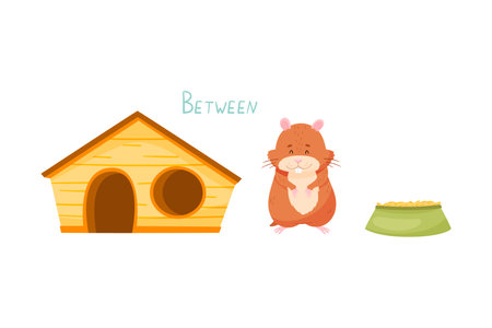 Funny Hamster Standing Between Wooden House and Feeder Showing Preposition of Place Vector Illustrationのイラスト素材