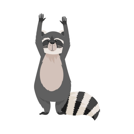 Furry Raccoon Standing on Hind Legs with Its Paws Raised Up Vector Illustrationのイラスト素材