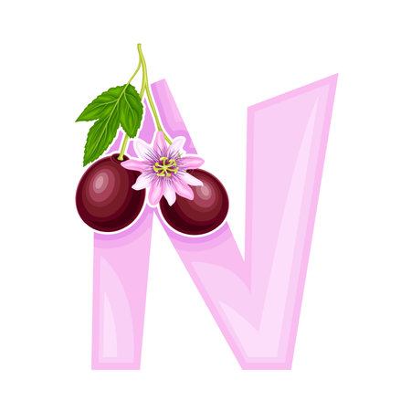Bright Alphabet Letter N with Exotic Passion Fruit Vector Illustrationのイラスト素材