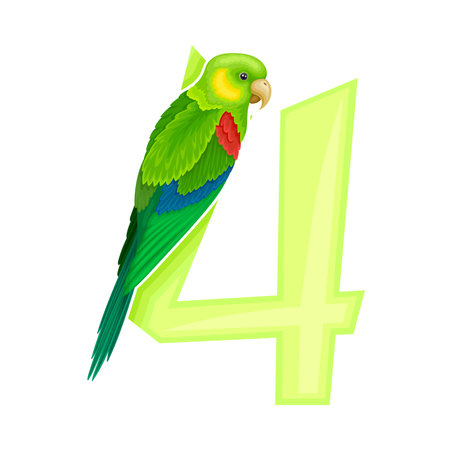 Summer Number with Bright Parrot Bird Vector Illustrationのイラスト素材