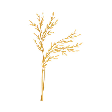 Grass Specie as Wildflower or Herbaceous Flowering Plant Vector Illustrationのイラスト素材