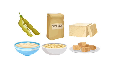 Soy Flour and Soy Bean Cheese or Tofu Curd Vector Setのイラスト素材