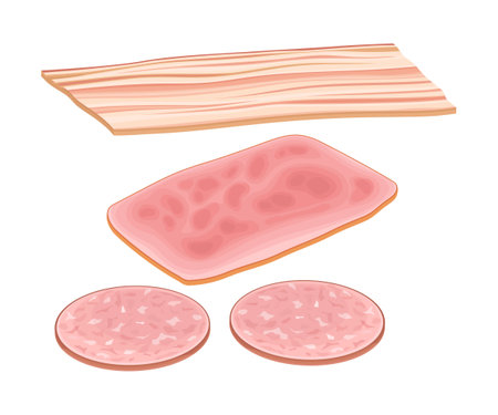 Slice of Wurst and Bacon as Breakfast Ingredients Vector Illustrationのイラスト素材