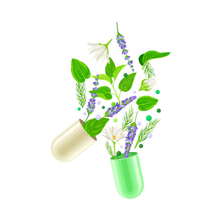 Capsule Halves with Floating Medical Herbs as Vitamins and Supplement Vector Illustrationのイラスト素材