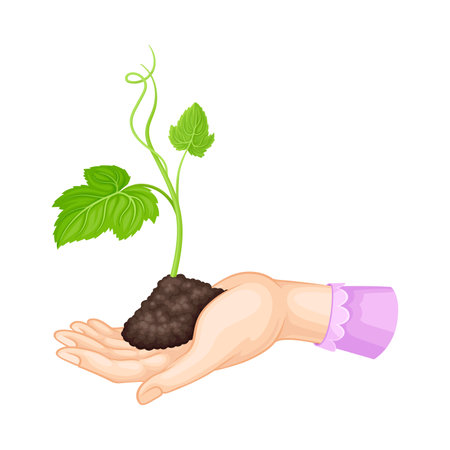 Hand Holding Soil with Young Plant or Sprout Growing in It Vector Illustrationのイラスト素材