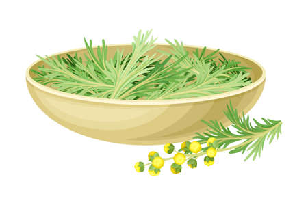 Bowl with Wormwood or Southernwood Plant with Feathery Leaves and Small Yellow Flowers Vector Illustrationのイラスト素材