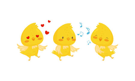 Yellow Chick Feeling Enamored and Singing Vector Setのイラスト素材