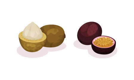 Ripe Exotic Fruits with Passion Fruit and Longan Vector Setのイラスト素材