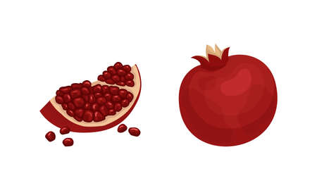Pomegranate Fruit with Red-purple Husk with Inner, Spongy Mesocarp with Edible Seeds Vector Setのイラスト素材