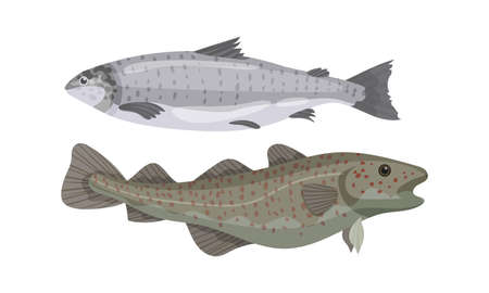Fish as Gill-bearing Aquatic Animal Used as Seafood Vector Setのイラスト素材