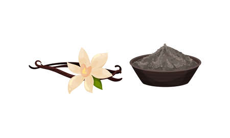 Vanilla Pod and Black Pepper in Bowl as Spice and Condiment Vector Setのイラスト素材