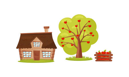 Village House, Apple Tree and Crate with Fruit as Farm Elements Vector Setのイラスト素材