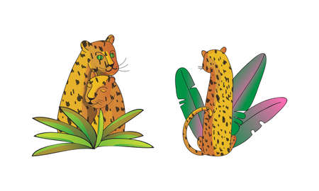 Spotted Leopard with Yellowish Skin and Long Body Sitting in Tropical Leaves Vector Setのイラスト素材