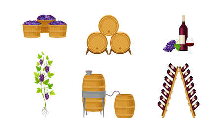 Grape Wine Glass Bottles in Wooden Wine Rack and Barrels as Winemaking Industry Vector Setのイラスト素材