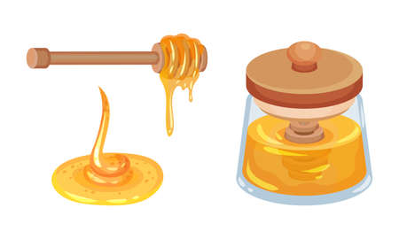 Glass Jar Full with Honey and Honey Dipper with Dripping Fluid Vector Setのイラスト素材