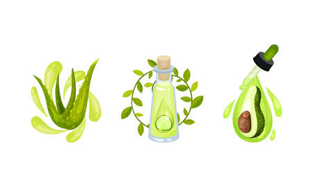 Cosmetic Oil with Aloe Vera and Avocado in Jar with Drops on Pipette Vector Setのイラスト素材