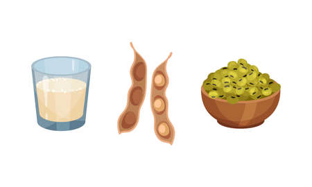 Soy Milk in Glass and Green Raw Beans Rested in Bowl Vector Setのイラスト素材