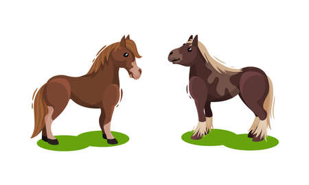 Horse with Crest Grazing on Green Field Vector Setのイラスト素材