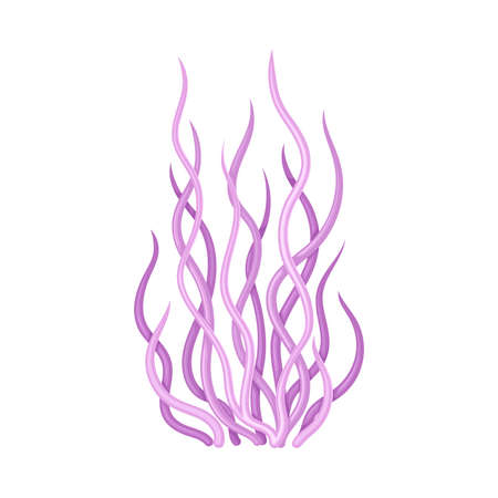 Coral as Marine Invertebrate from Ocean Bottom Vector Illustrationのイラスト素材