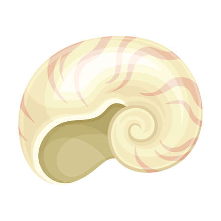 Seashell as Hard Marine Snail Shell Vector Illustrationのイラスト素材