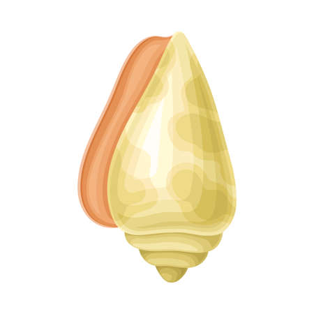 Seashell as Hard Marine Snail Shell Vector Illustrationのイラスト素材