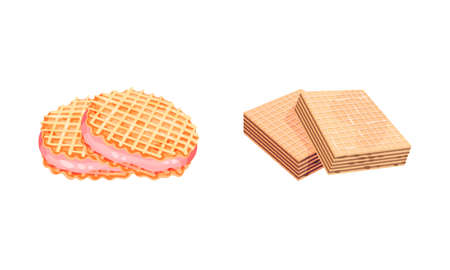 Waffle as Sweet Dish from Leavened Batter or Dough Vector Setのイラスト素材