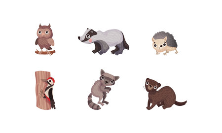 Forest Animals with Owl and Raccoon Vector Set.