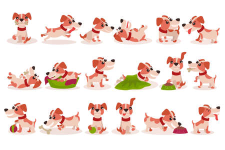 Funny Jack Russell Terrier Character Running, Rolling and Gnawing Bone Vector Setのイラスト素材