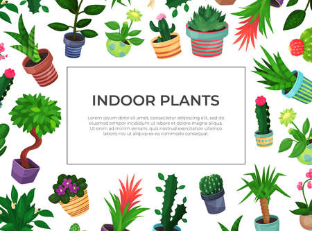 Decorative Frame with Houseplant in Ceramic Pots Growing Indoors Vector Templateのイラスト素材