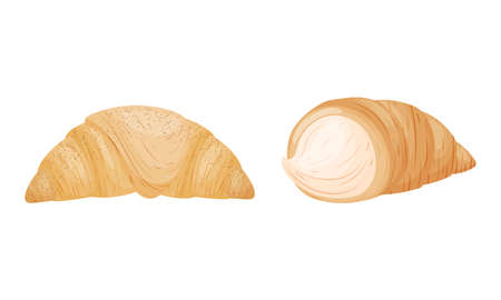 Buns as Sweet, Bread-based Roll Made from Flour and Yeast Vector Setのイラスト素材