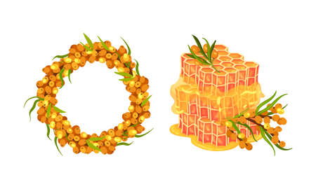 Sea Buckthorn Berry with Honeycomb and Wreath Vector Composition Setのイラスト素材