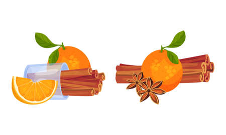 Dried Cinnamon Bark Strips or Sticks with Orange Fruit Vector Setのイラスト素材