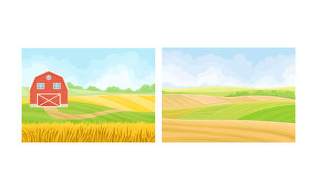 Country View with Sown Field, Barn House and Pasture Land as Green Landscape Vector Setのイラスト素材