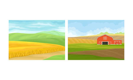 Country View with Sown Field, Barn House and Pasture Land as Green Landscape Vector Setのイラスト素材