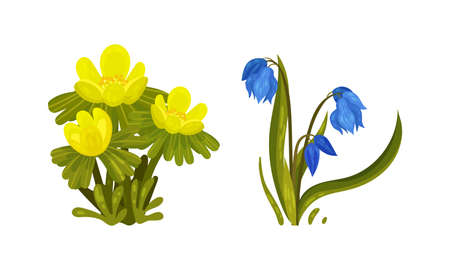 Spring Flowers on Green Stem as Seasonal Botany Growing Vector Setのイラスト素材