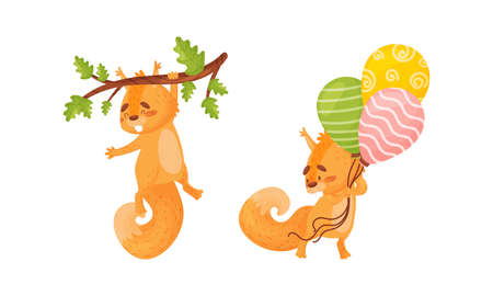 Fluffy Squirrel Character Holding Bunch of Balloons and Hanging on Tree Branch Vector Setのイラスト素材