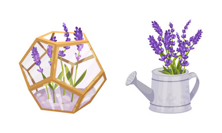 Lavender Fragrant Floral Twigs Rested in Watering Can and in Glass Flowerbed Vector Setのイラスト素材