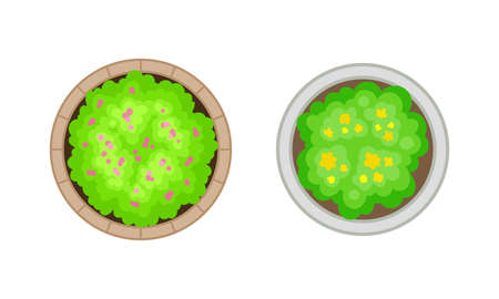 Bush Growth as Landscape Elements Above View Vector Setのイラスト素材