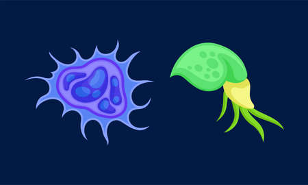 Bacteria as Biological Cell and Prokaryotic Microorganism Vector Setのイラスト素材