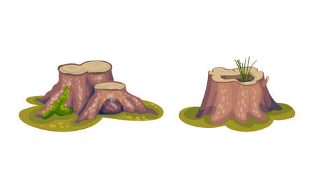 Tree Stump as Small Part of Trunk with Roots in the Ground Vector Setのイラスト素材